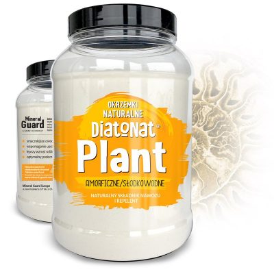 diatomit-plant.jpg